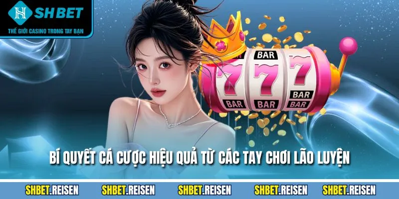 Bí quyết cá cược hiệu quả từ các tay chơi lão luyện