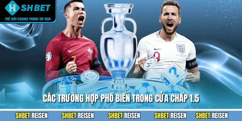 Các trường hợp phổ biến trong cửa chấp 1.5