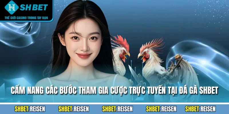 Cẩm nang các bước tham gia cược trực tuyến tại đá gà SHBET