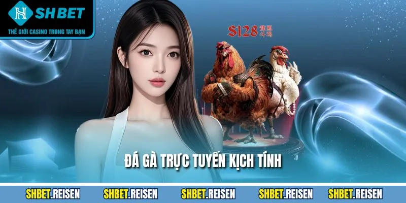 Trang chủ 12 Đá gà trực tuyến kịch tính