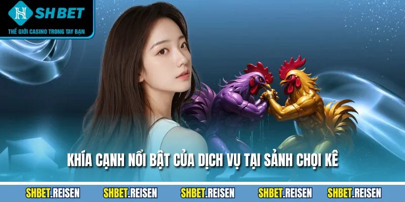 Khía cạnh nổi bật của dịch vụ tại sảnh chọi kê