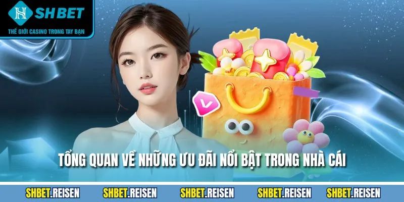 Khuyến Mãi SHBET - Cập Nhật Thông Tin, Điều Kiện Nhận 1 Tổng quan về những ưu đãi nổi bật trong nhà cái
